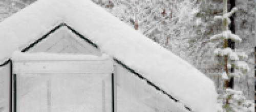 wpdebcafd8_06